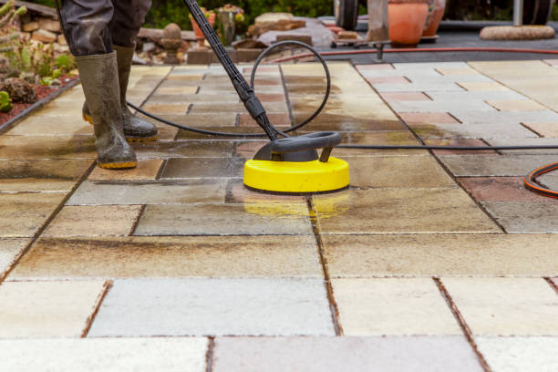 Best Animal Enclosure Cleaning  in Thunderbolt, GA